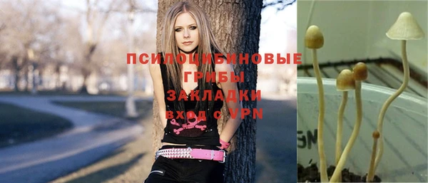 mix Алексеевка