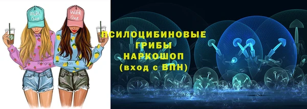 стафф Алзамай