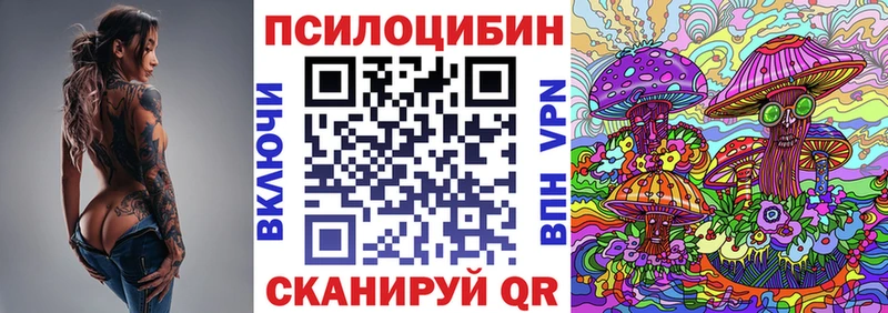 ссылка на мегу ссылка  Заполярный  дарк нет наркотические препараты  Псилоцибиновые грибы Cubensis 